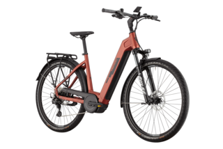 Das elegante City E-Bike trenoli TANARO CX Classico in der stylischen Farbe pearl Coral hat einen Tiefeinsteiger-Rahmen und einen starken, integrierten Bosch-Antrieb für tägliche Touren in der Stadt und im Umland.